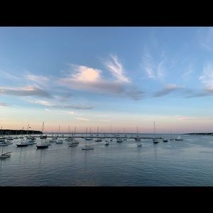 Meet your Posher, Ava